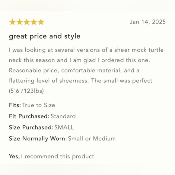 NWT Size M  By Anthropologie Mesh Turtleneck Top - Picture 7 of 15